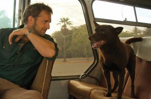 Red Dog will be a broad comedic family film for Roadshow