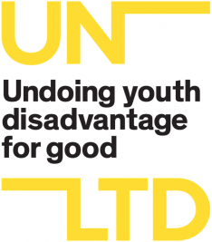 UN LTD logo