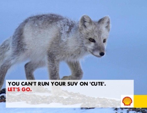 Shell hoax arctic fox