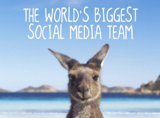 worlds biggest social media team