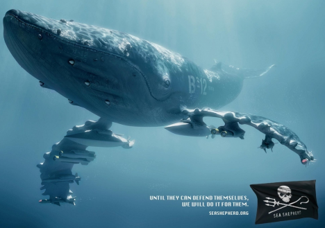 Sea Shepherd ad