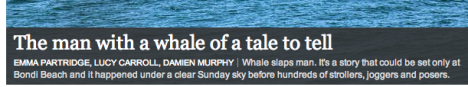 smh whale tale