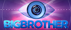 big brother logo