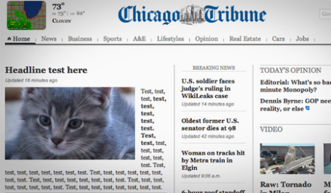 chicago tribune cat