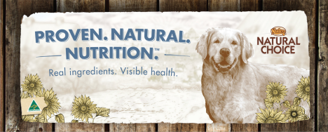 Nutro natural choice pet food dog