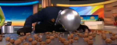 KArl stefanovic breaking walnuts