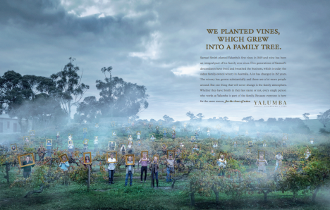 Yalumba Wines print ad