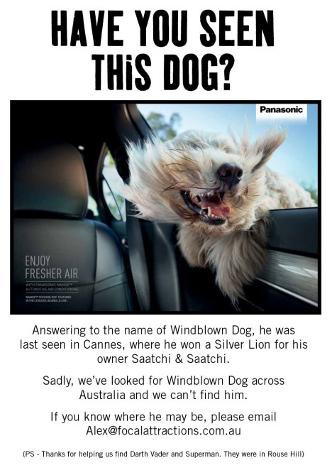 Missing dog Saatchi Panasonic
