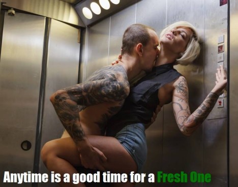 Fresh One elevator