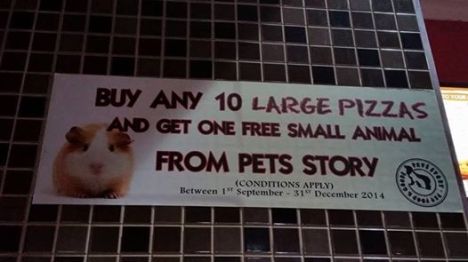 pizza hut pet free pet promotion