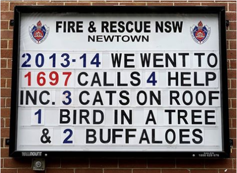 Fire and Rescue buffaloes