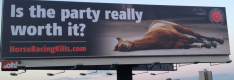 dead horse billboard