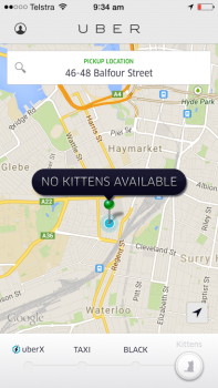 The Uber app is showing a lack of availability of the kitten option
