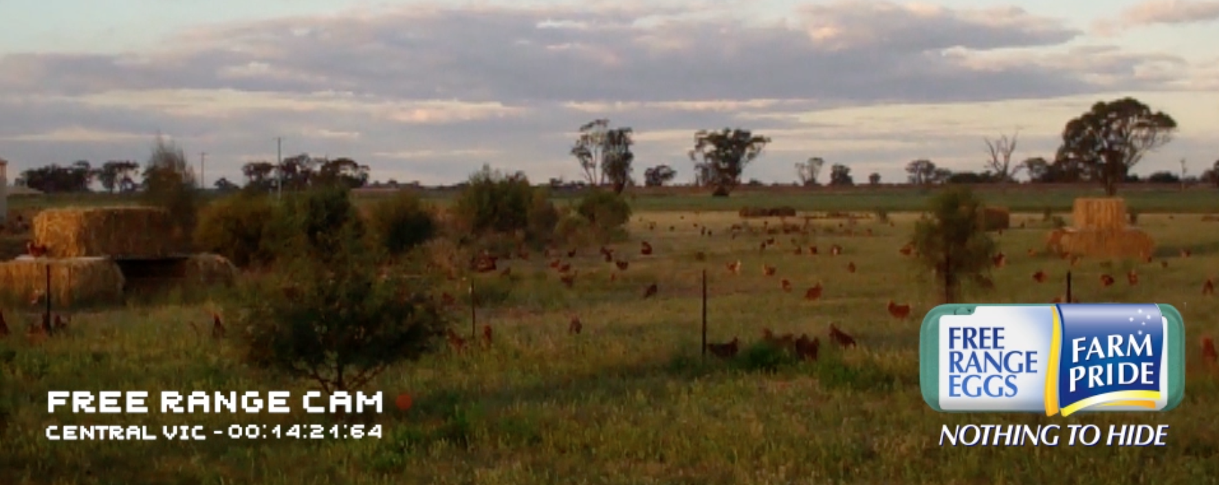 GPY&R Melbourne launch 'Free Range Cam' campaign for Farm Pride eggs Mumbrella