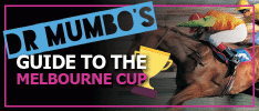 Dr Mumbo Melbourne Cup