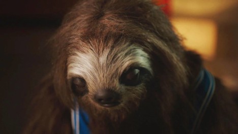 stoner sloth facebook