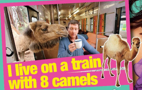 take 5 camels