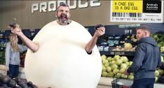 Social shaming and humour the key to new anti-cage egg campaign