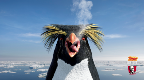 KFC Cannes penguin