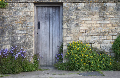 Garden wall with wooden door and flowers, Cotswolds, Chipping Campden, Gloucestershire, England.