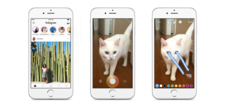 Instagram Stories 3 phones laser cat