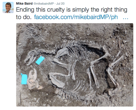 mike baird twitter greyhound bones ban