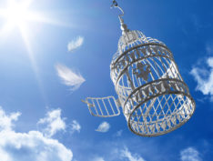 thinkstockphotos-bird-cage-flying-sky-freedom