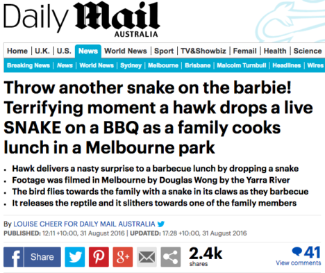 daily mail hawk snake