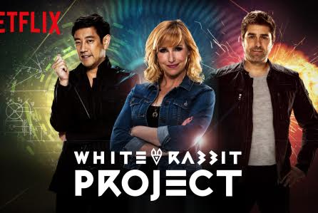 white-rabbit-project