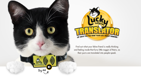 cat-translator-lotteries