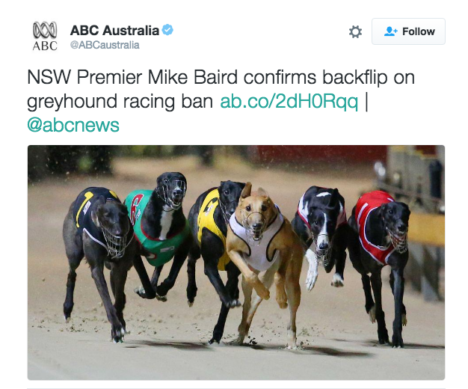 twitter-abc-australia-greyhound-ban