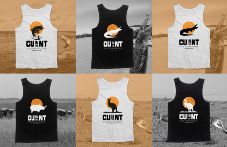cu-in-the-nt-singlets