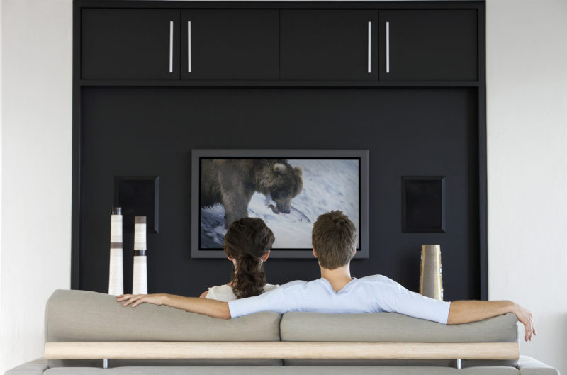 Back view of couple watching wildlife movie on television in living room