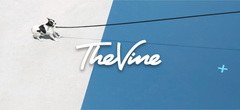 thevine-logo