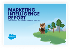 salesforce marketing intelligence report 