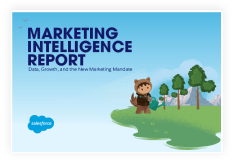 salesforce marketing intelligence report