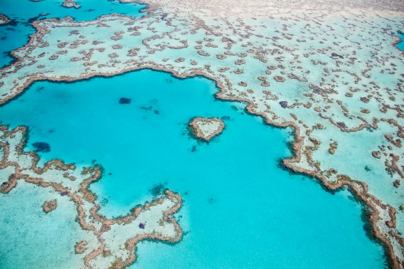 Leo Burnett named the Great Barrier Reef Foundation’s creative agency