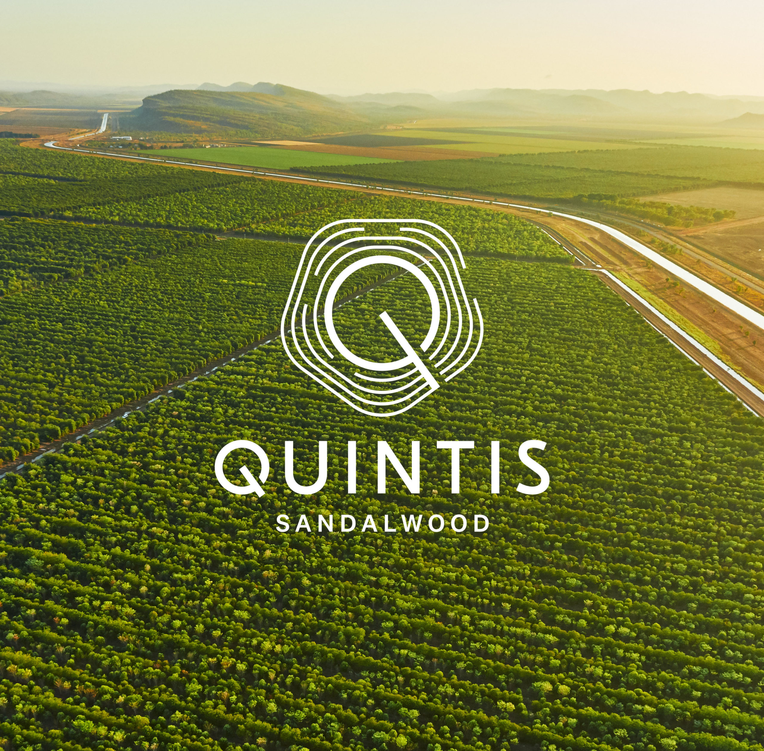 Quintis Appoints Illuminate As Global Pr Partner