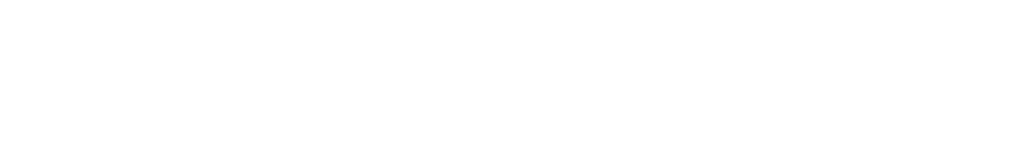 Spotify Advertising Logo Factory White