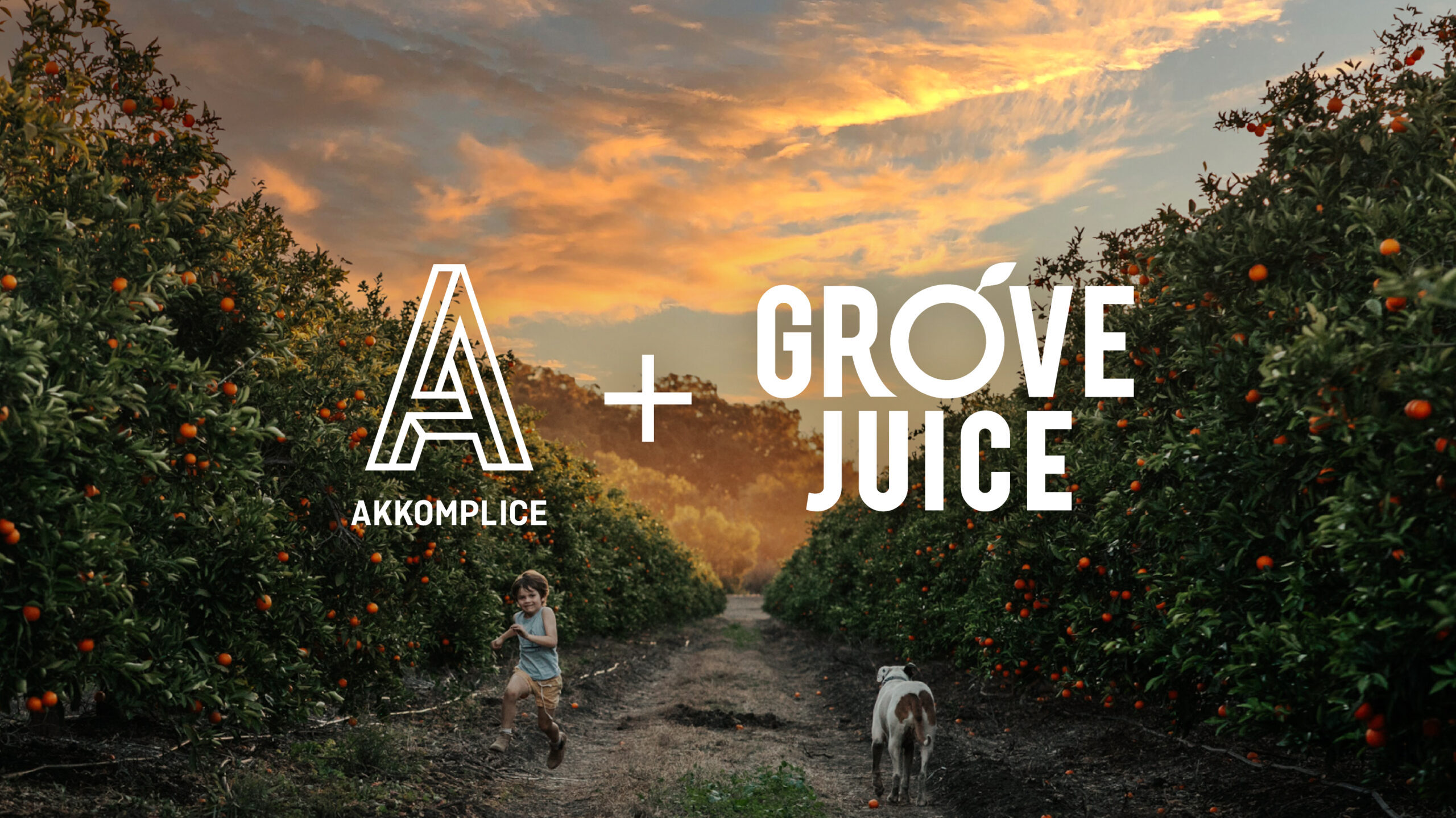 Grove Juice appoints Akkomplice as lead creative agency