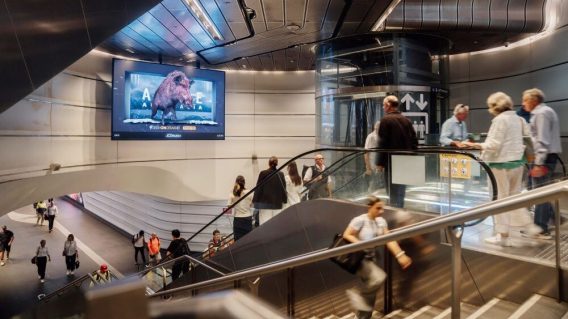 ‘That’s where we’ll cap out’: JCDecaux Australia CEO weighs in on future of out of home sector