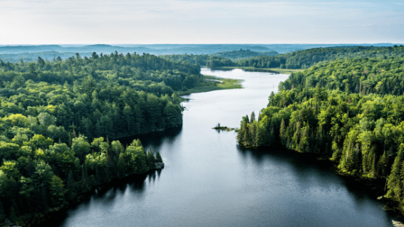 AANA officially introduces Environmental Claims Code