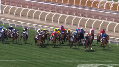 Melbourne Cup 2024 horse racing