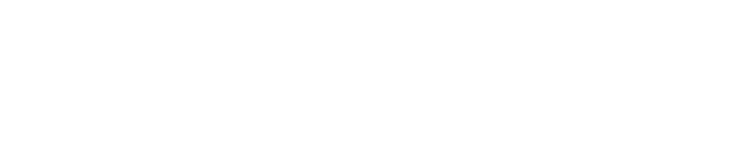 Compass logo - negative RGB