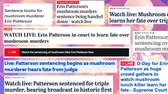 Erin Patterson sentencing: ‘Unprecedented media coverage’ puts murderer at ‘significant risk’