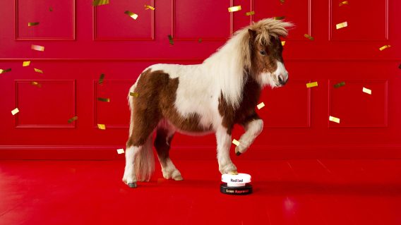 Redzed releases campaign celebrating self-employed Australians