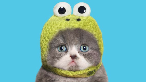 All your friends don’t share any more