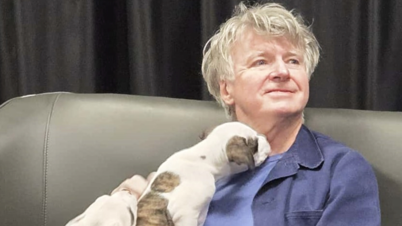 Don’t dream it’s over (for the puppies being murdered by Spotify)