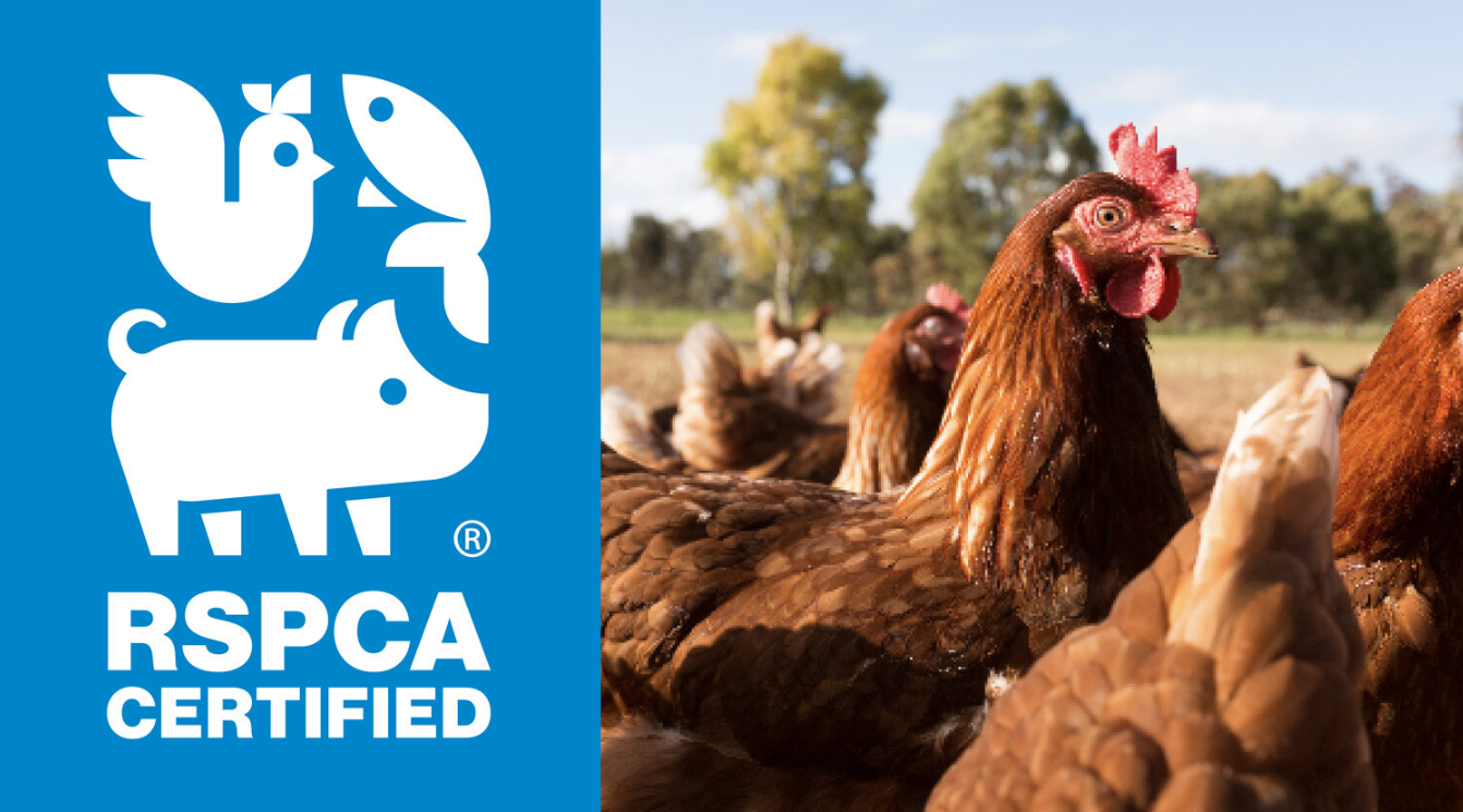 RSPCA Australia rebrands farm animal welfare program