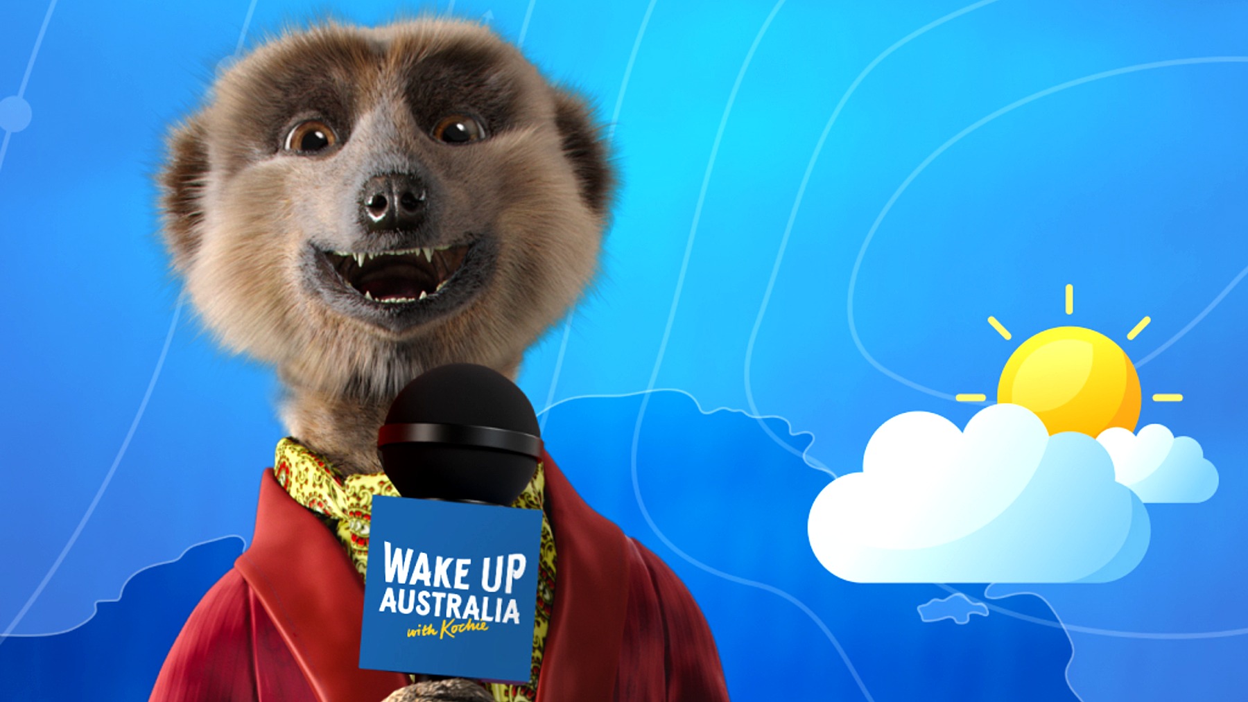 Compare the Market axes CMO role in Australia